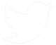 Twitter Logo